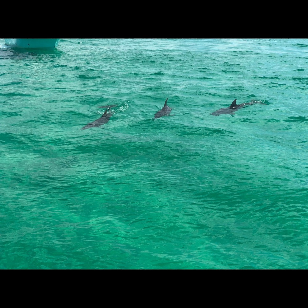 Meet your Posher, Lynhh